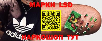 трава Будённовск
